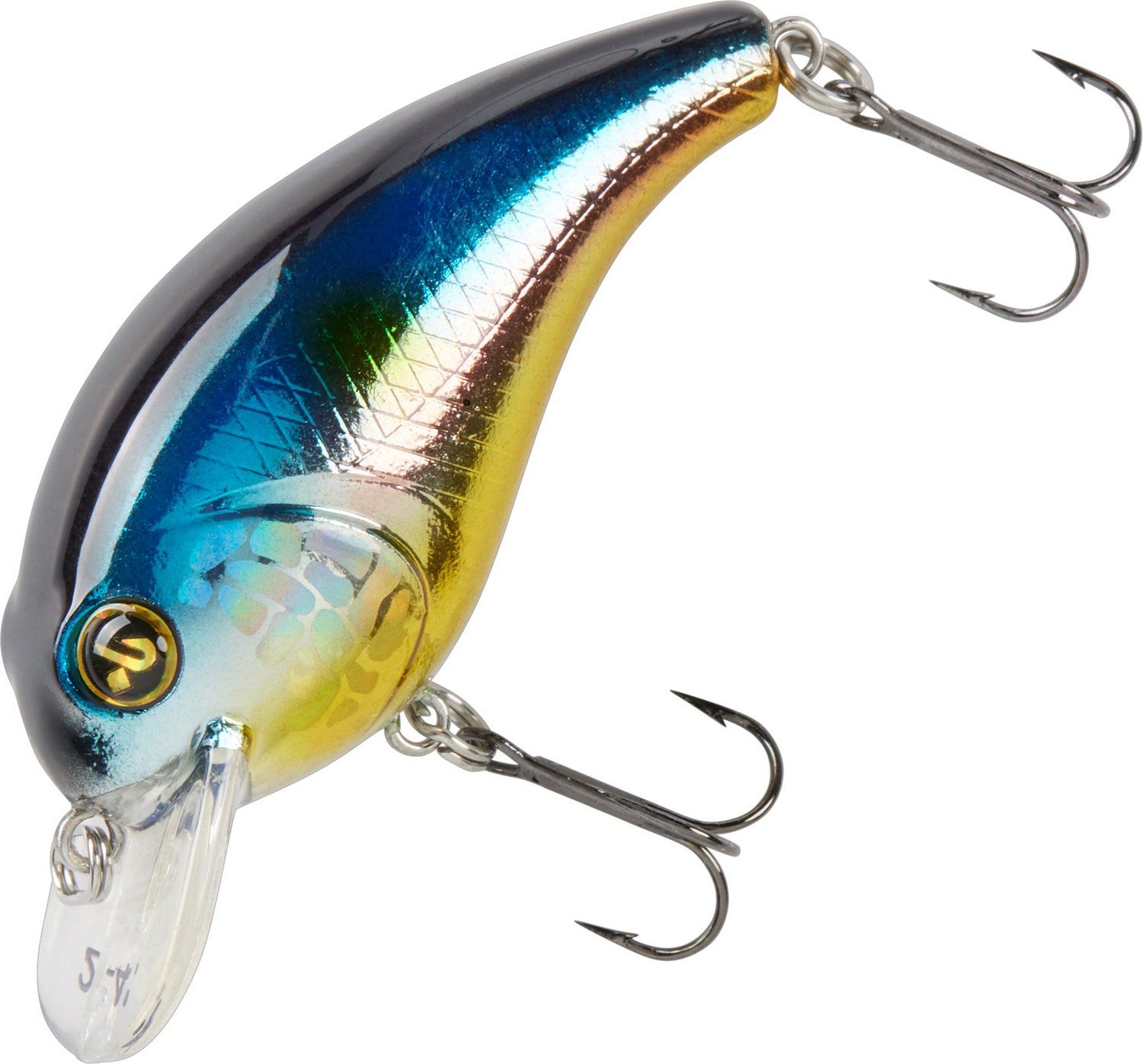 Fish City Hamilton – Saltwater Lures & Soft Baits