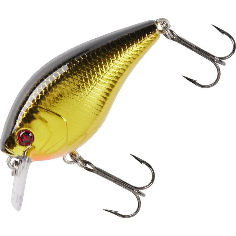 H2OX Premium Shallo… - image