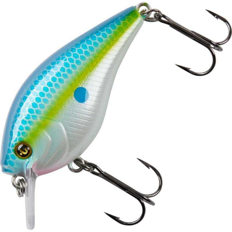 H2OX Premium Shallo… - image