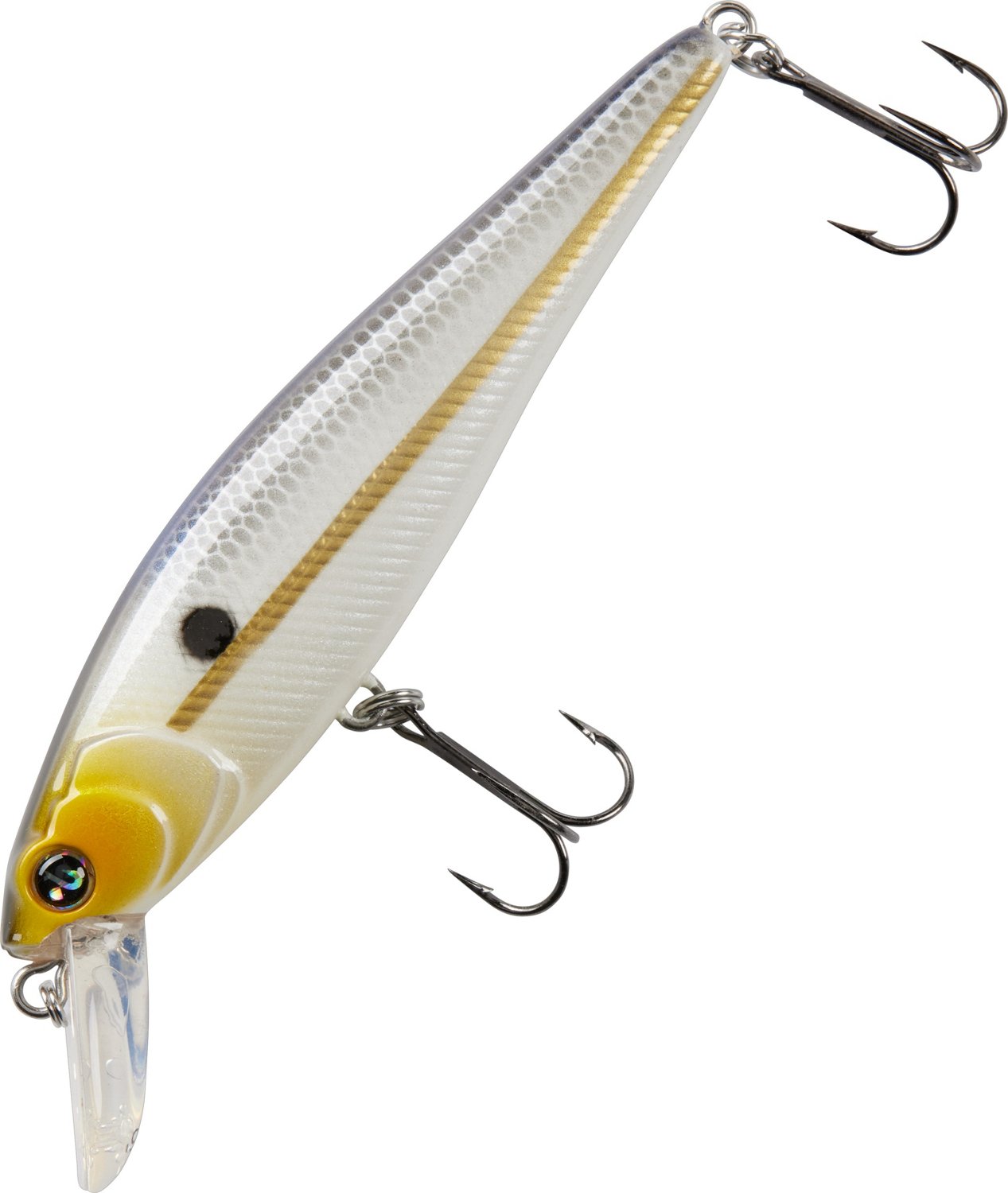 H2OX Premium Floating Jerk Shad Bait