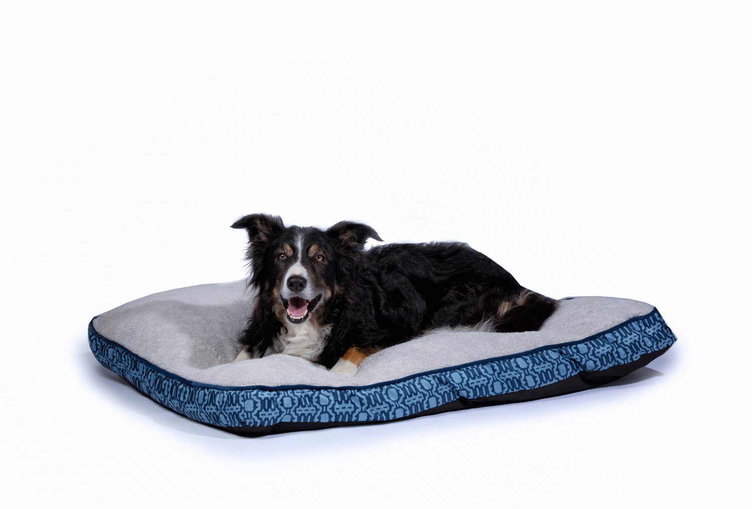 Carpenter pet 2025 bedding self cooling