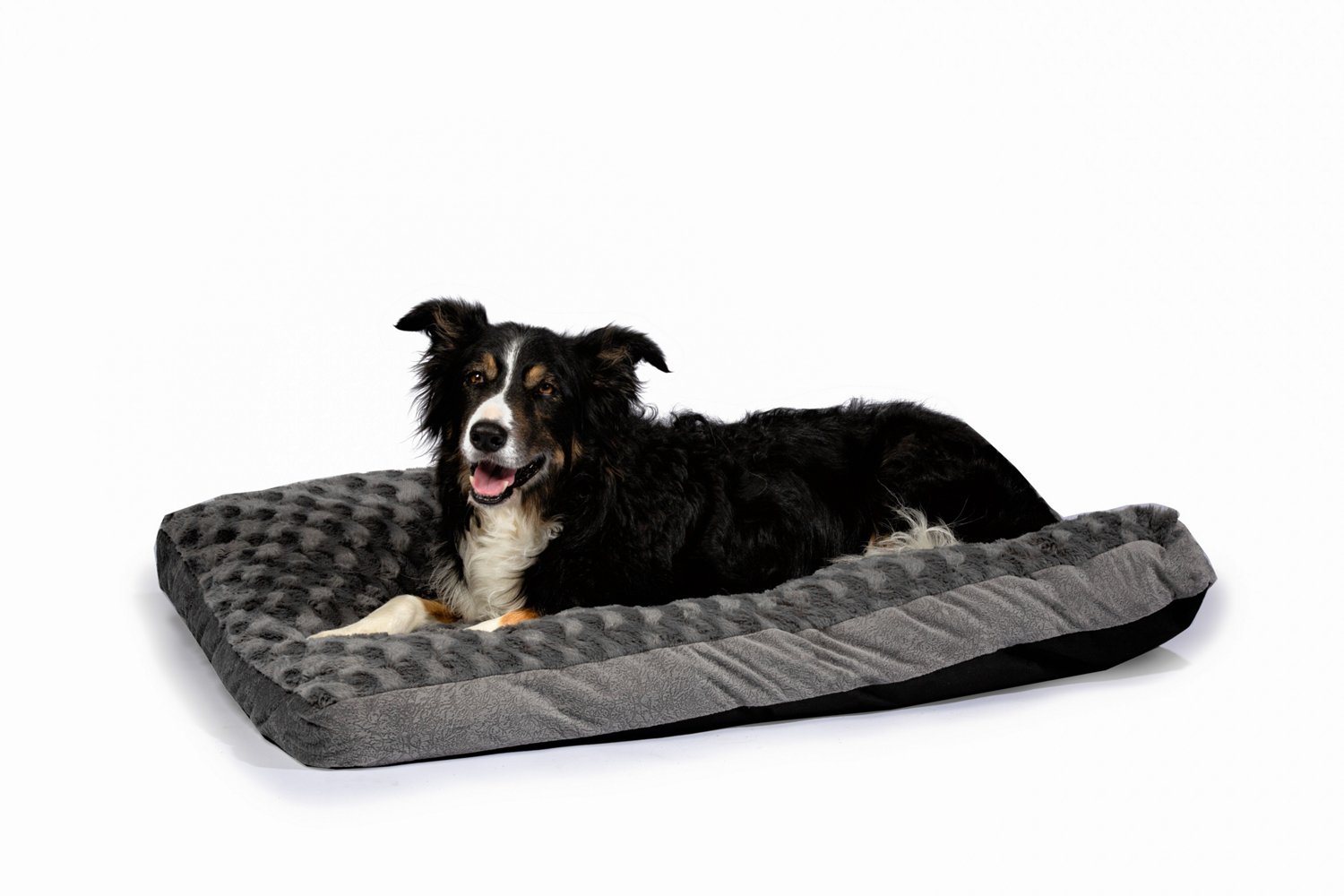 Academy sports outlet dog beds