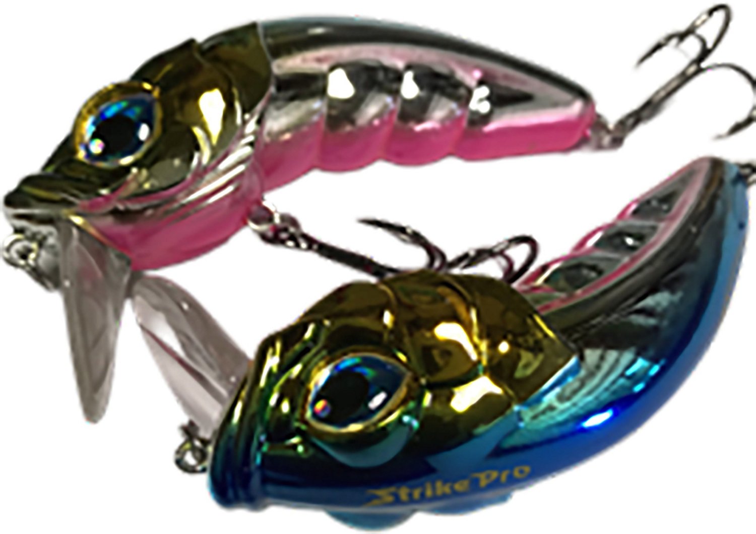 Best Bass Lures & Baits To Catch Hawgs in Every Season