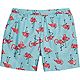 O'Rageous Men's Flamingo Print Volley Swim Shorts                                                                                - view number 1 selected
