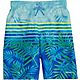 Gerry Boys' Palm Island Swim Trunks                                                                                              - view number 1 selected