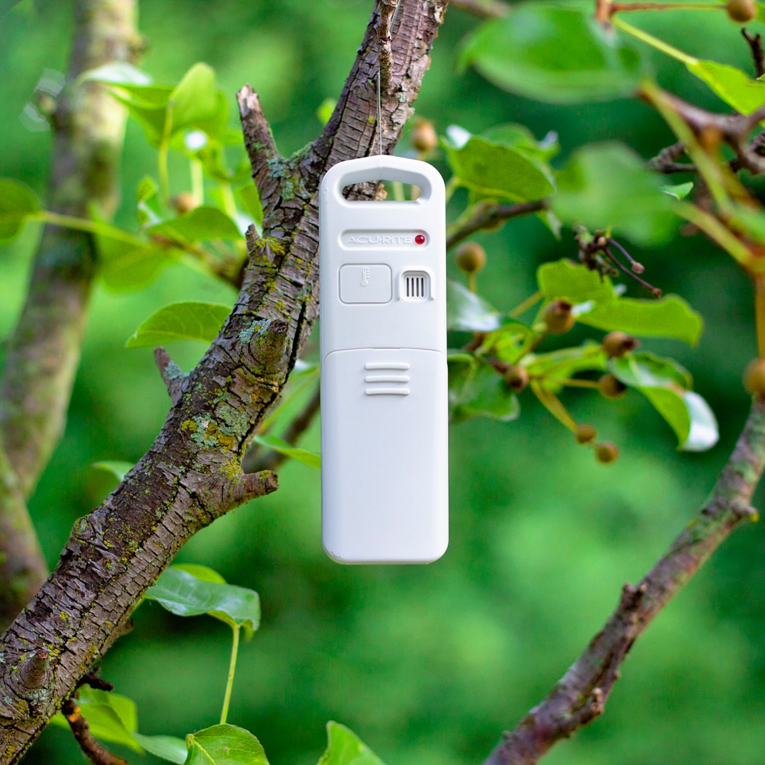 AcuRite Wireless Digital Thermometer                                                                                             - view number 5