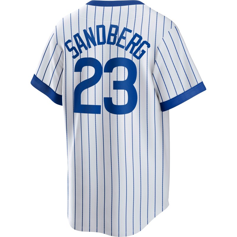Nike Men's Chicago … - image