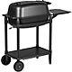PK Grills 300 Series Grill & Smoker                                                                                              - view number 2