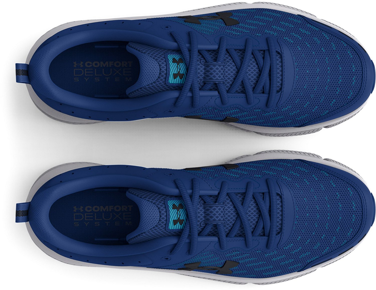 Under Armour Men's Charged Assert 10 Running Shoes Academy