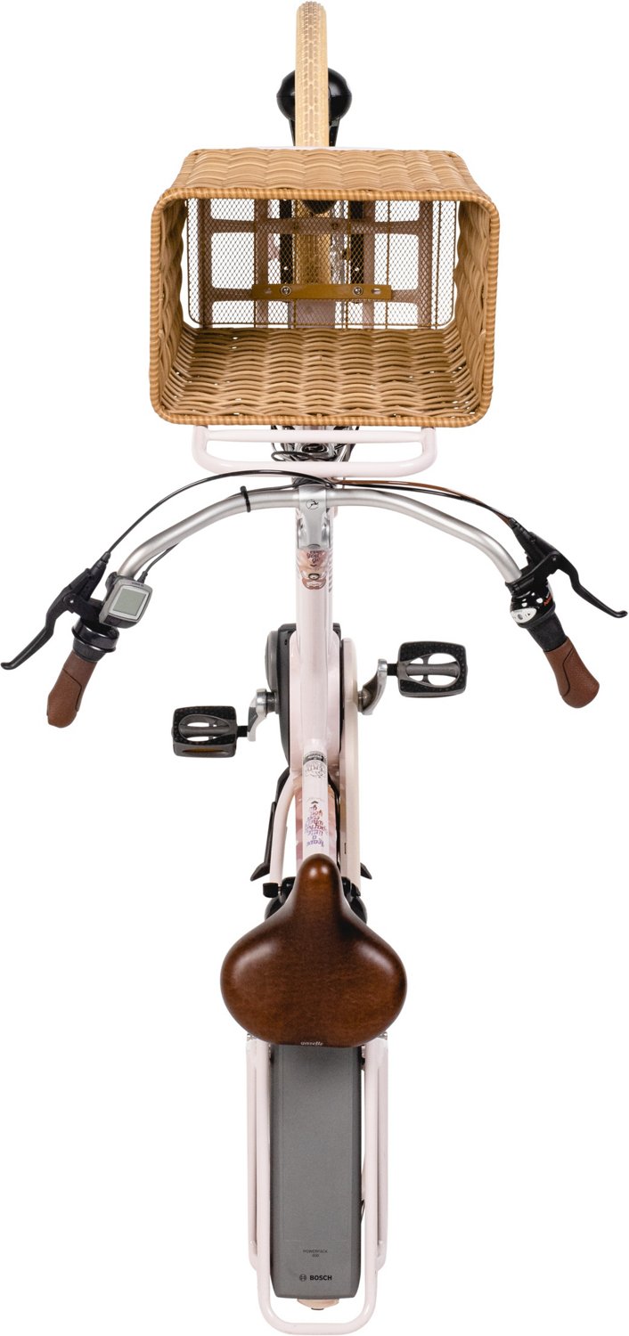 Steadyrack EBike Rack Academy