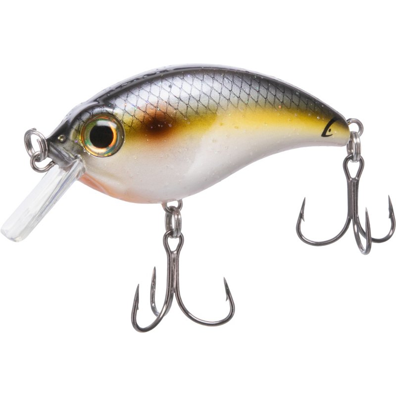 Bill Lewis 2 in 0.25 oz ATV 1.0 Squarebill Crankbait Lure Shad, 1 Oz - Frsh Water Hard Baits at Academy Sports