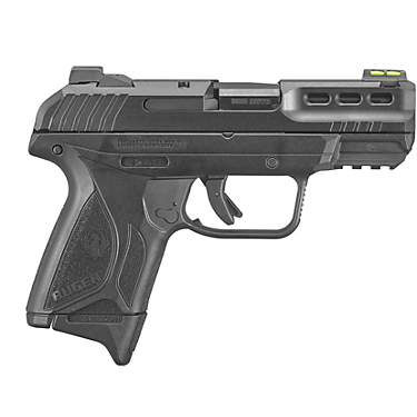 Ruger Security-380 .380 Auto Pistol                                                                                             