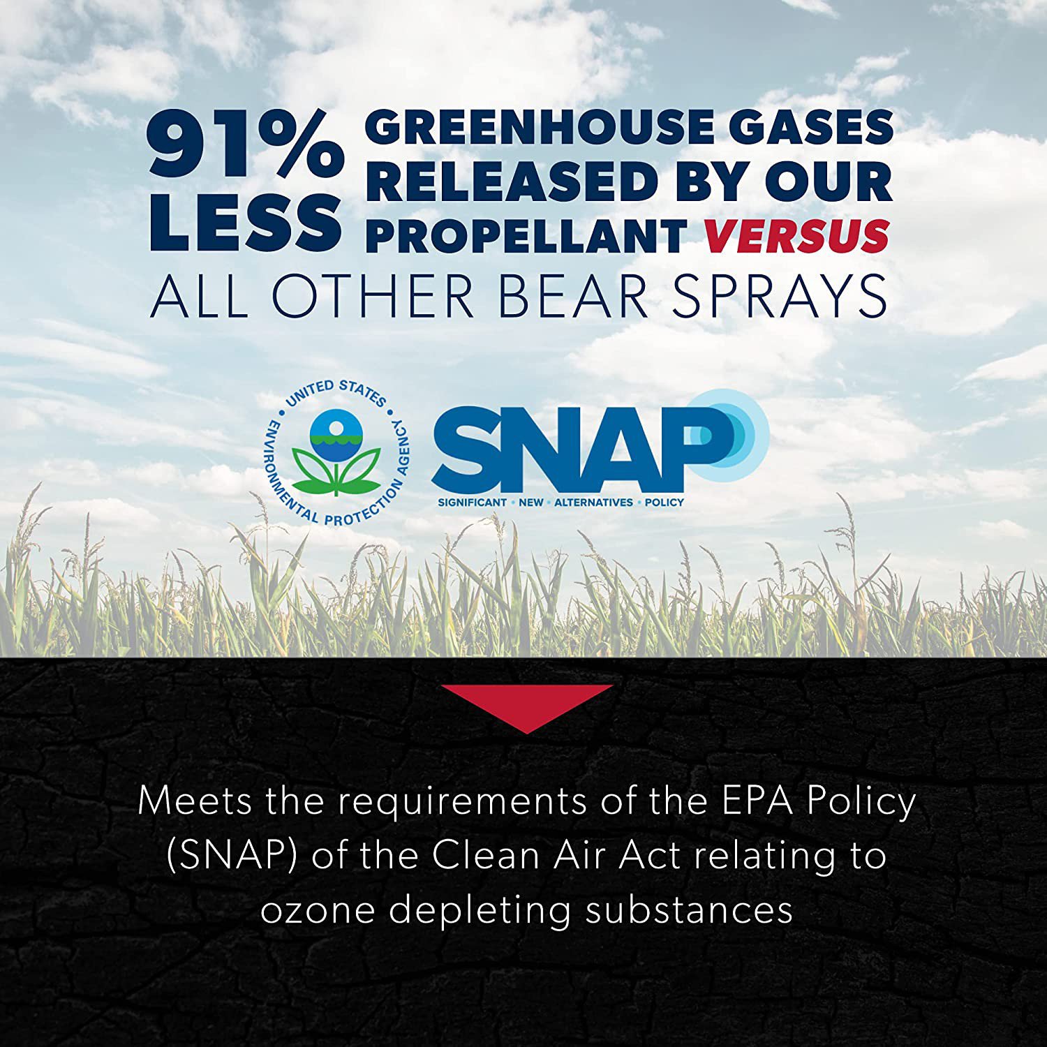 Counter Assault 32 ft Bear Pepper Spray 2-Pack                                                                                   - view number 7