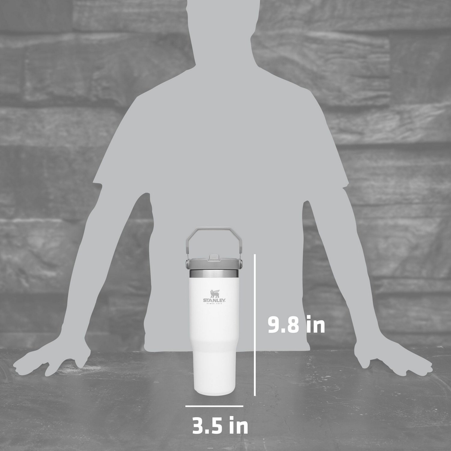 Stanley The IceFlow 30 oz Classic Flip Straw Tumbler - view number 5