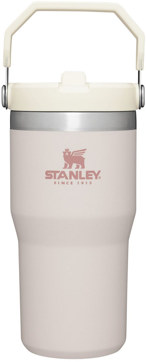 Stanley The IceFlow 20 oz Classic Flip Straw Tumbler