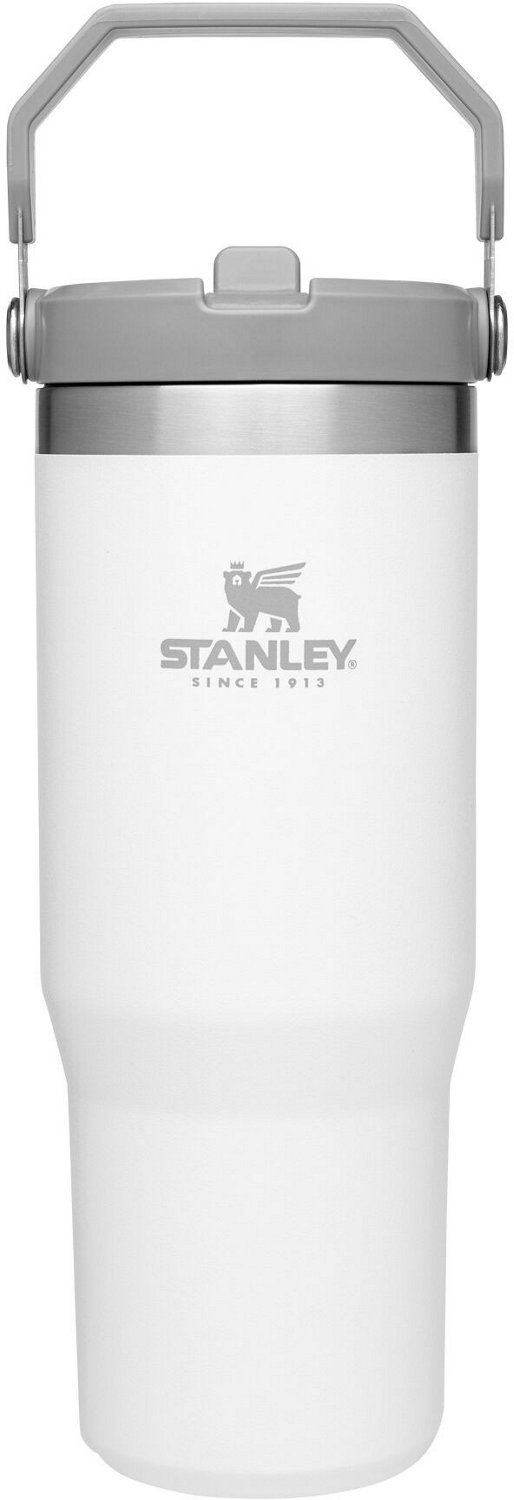 Straw Cover For Stanley Cup - Stylish Stanley Tumbler - Pink Barbie Citron  Dye Tie