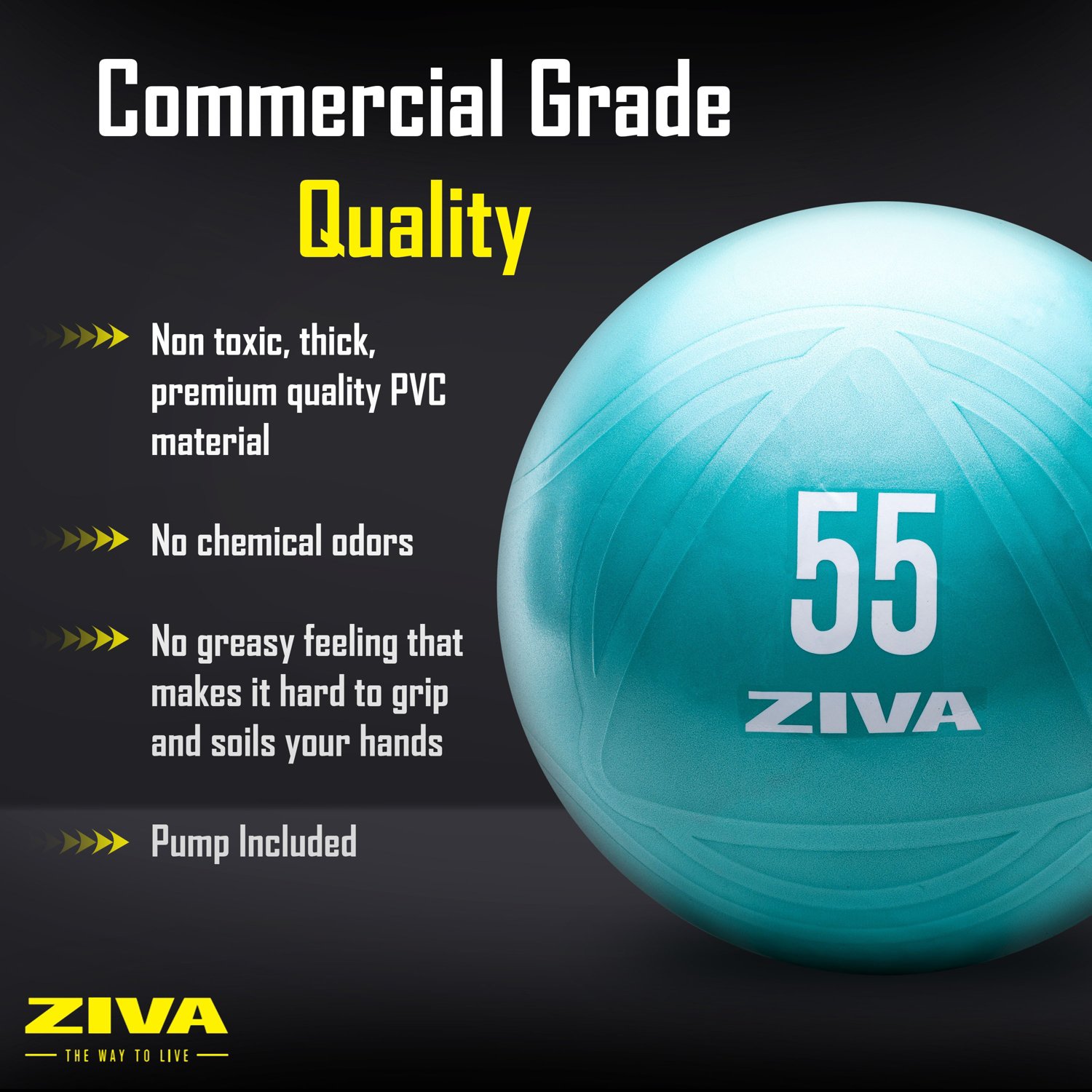 ZIVA Chic Anti-Burst Core Fit Ball                                                                                               - view number 6