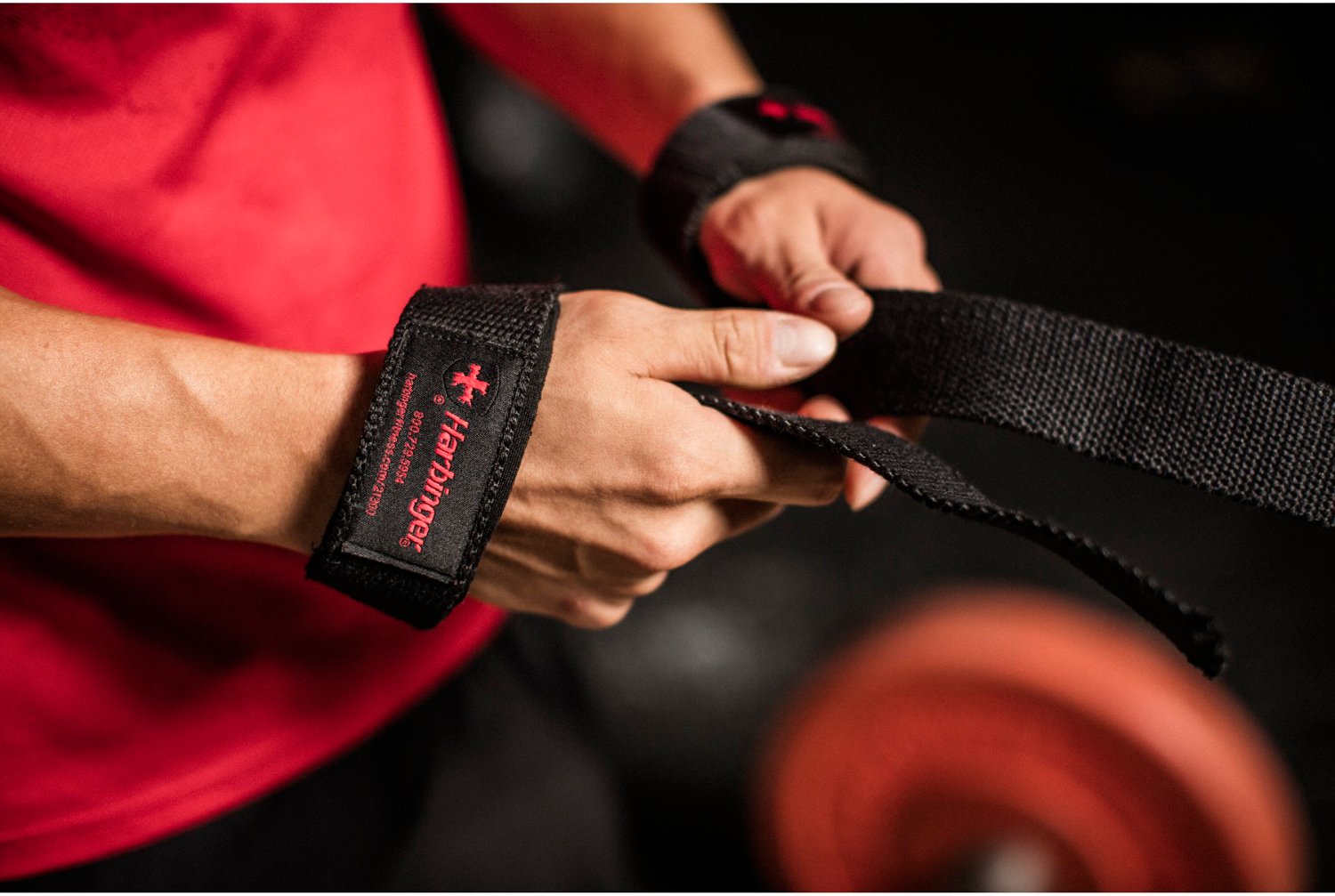 Harbinger Padded Lifting Strap