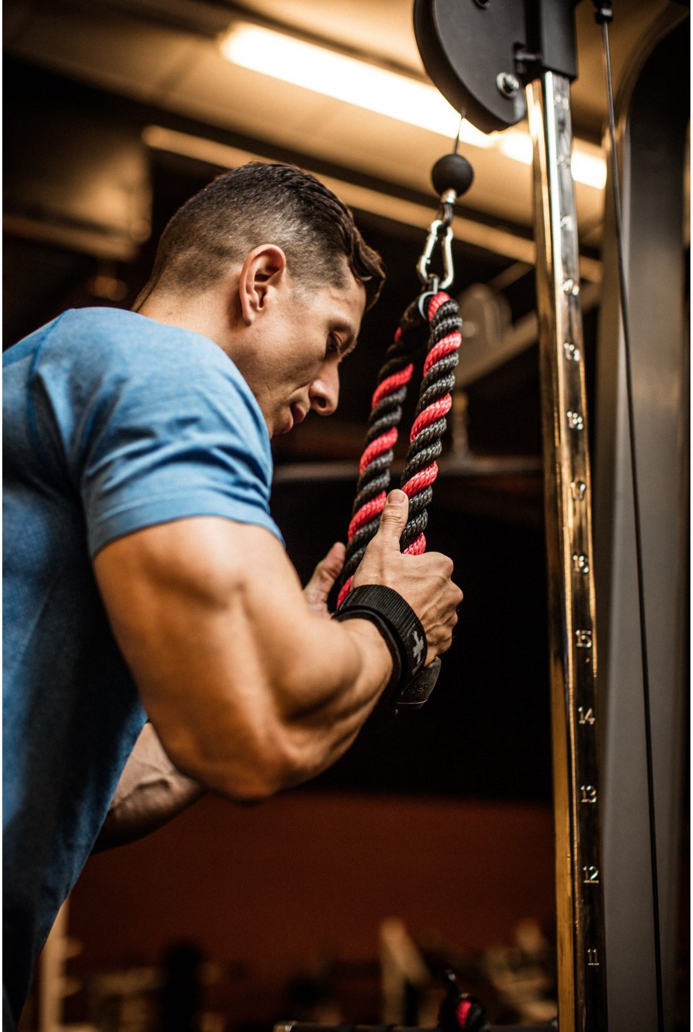 Harbinger 26" Tricep Rope - view number 4