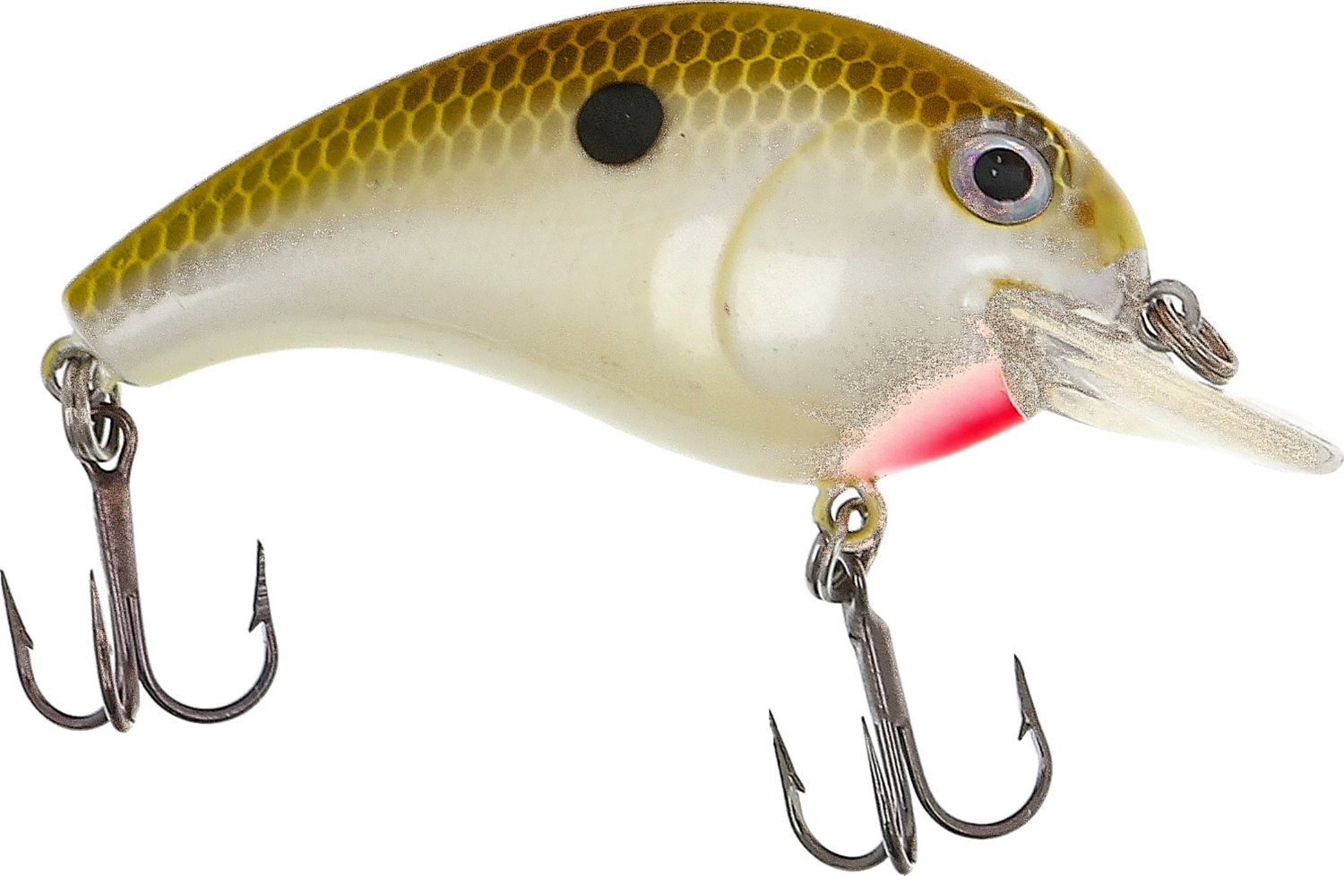 Eagle Claw 2 Angler 5 ft 6 in Freshwater Fishing Bundle