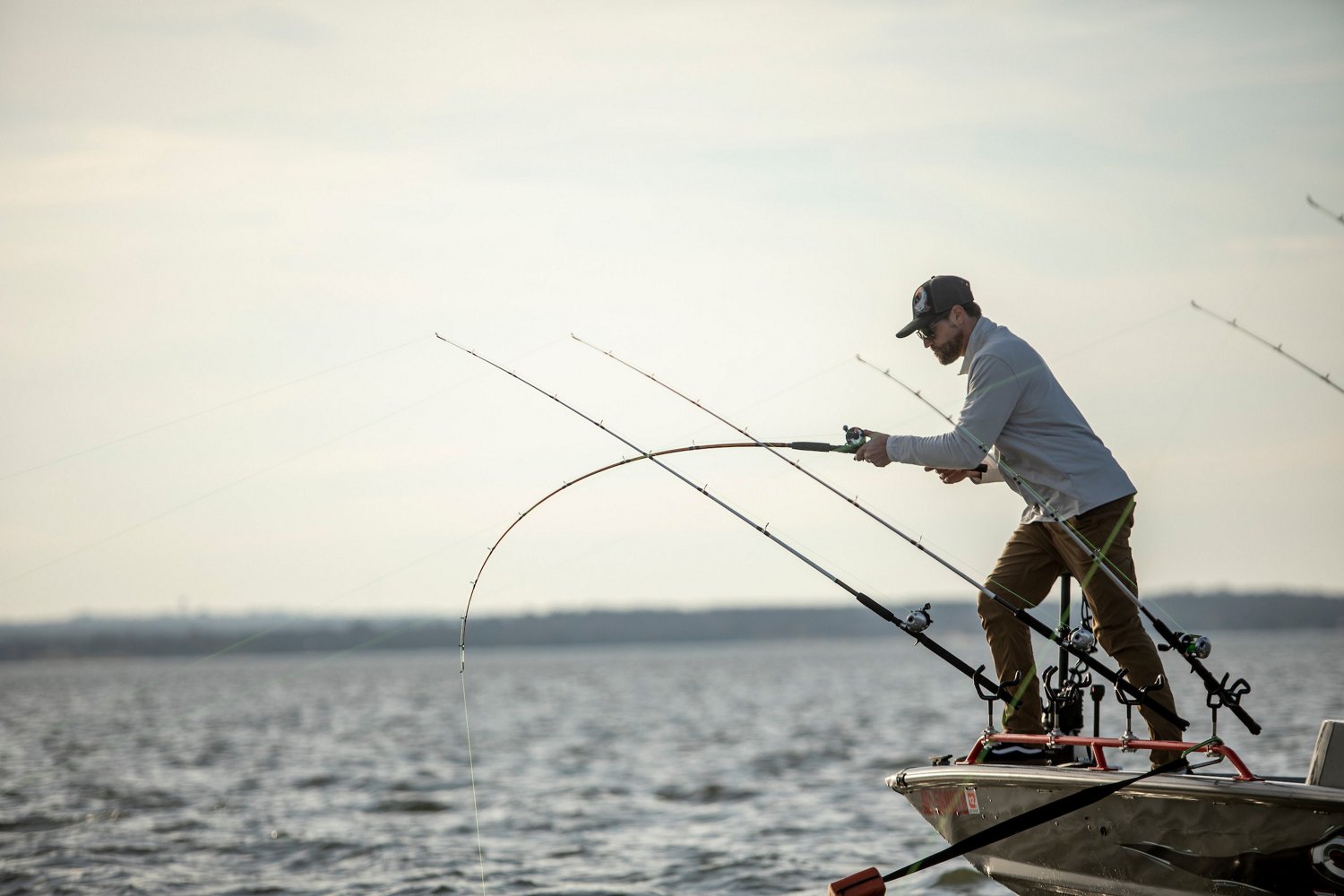 Ugly Stik Catfish Special 8 ft MH Casting Rod