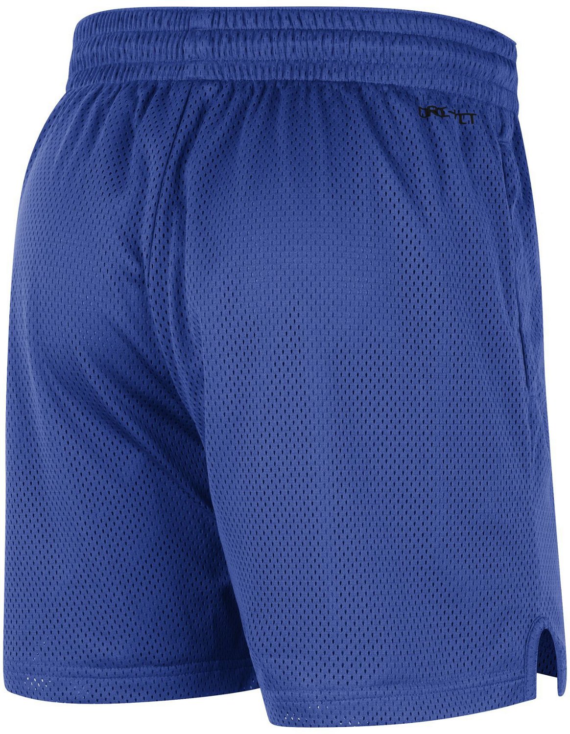 Nike Men's University of Florida Dri-FIT Shorts 10 in - view number 2