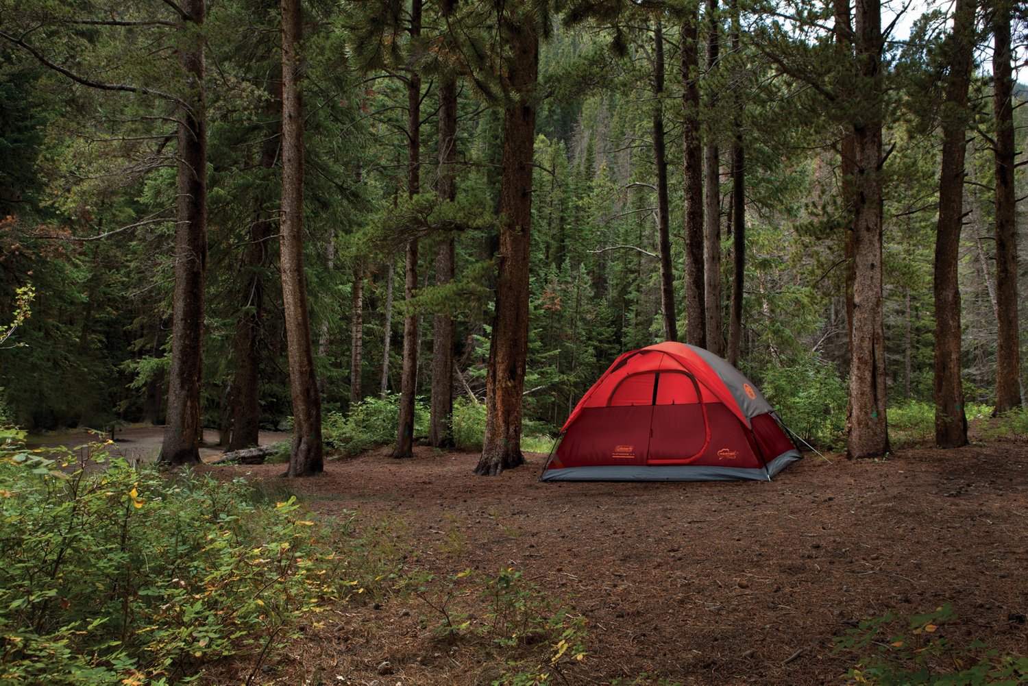 Coleman Flatwoods II 4 Person Dome Tent Academy