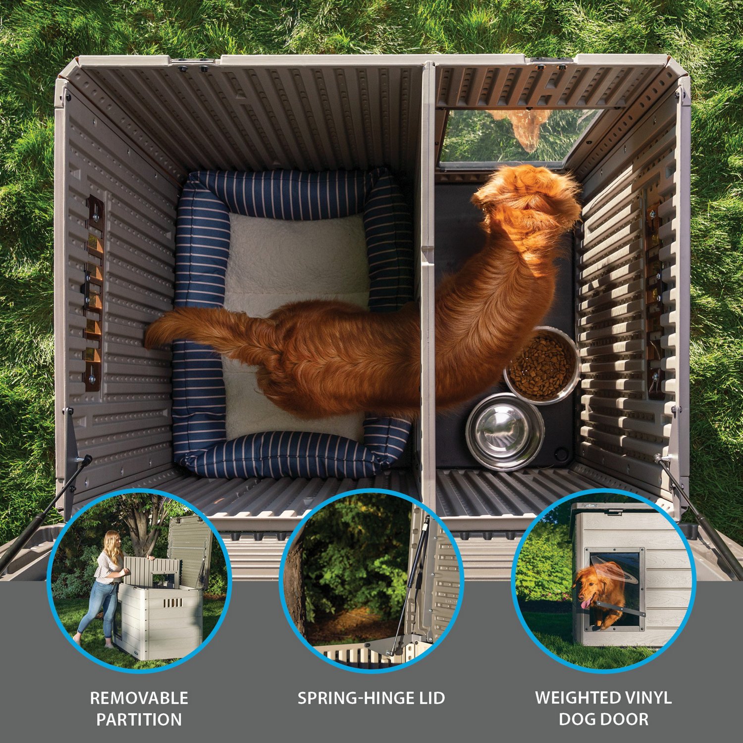 Lifetime Deluxe Large Dog House                                                                                                  - view number 4