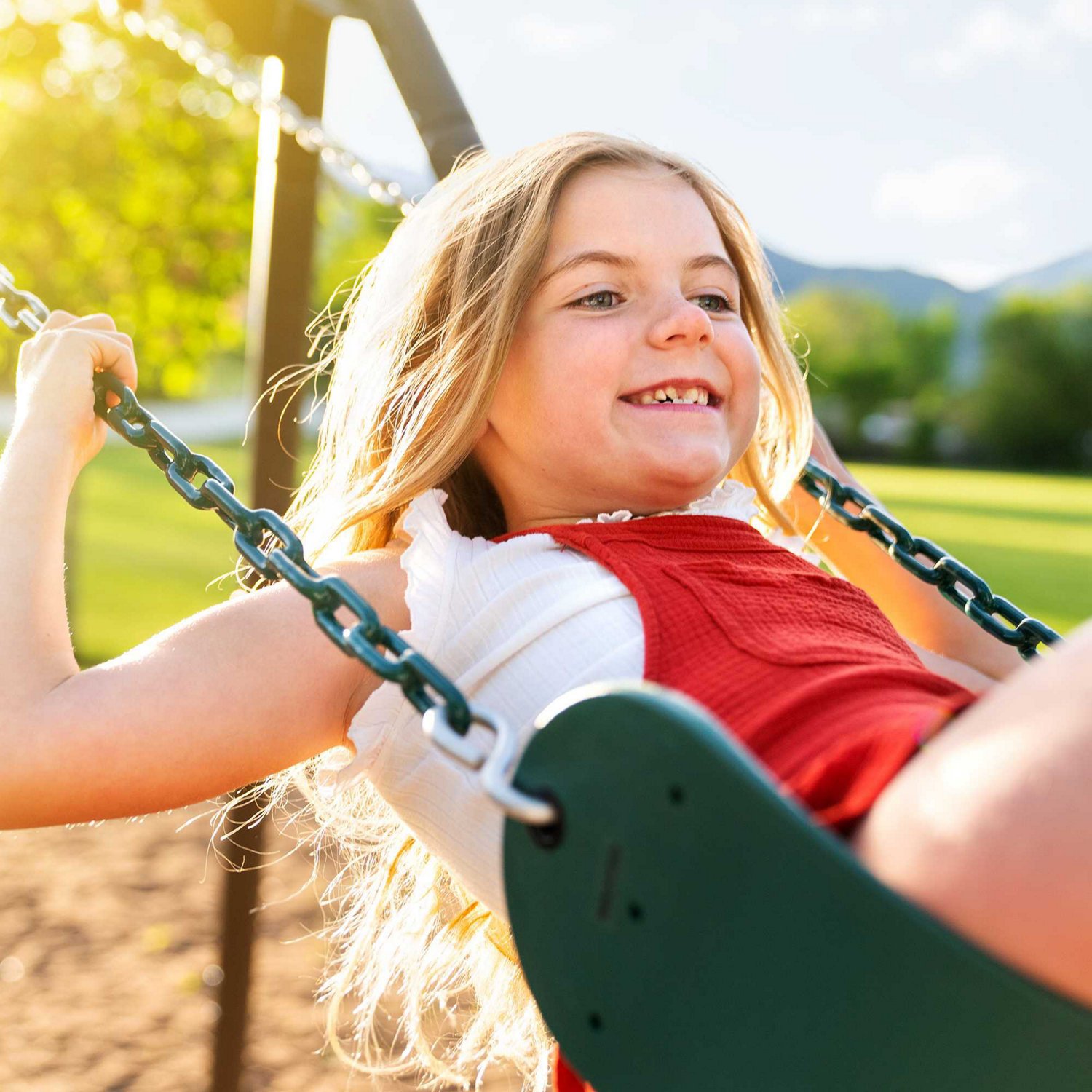 Lifetime Kids Swing Set Academy