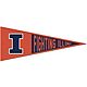 WinCraft University of Illinois 13 in x 32 in Wool Pennant                                                                       - view number 1 selected