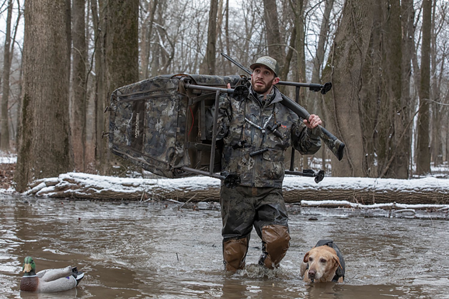 MOmarsh Invisi-Lab Dog Blind - view number 6