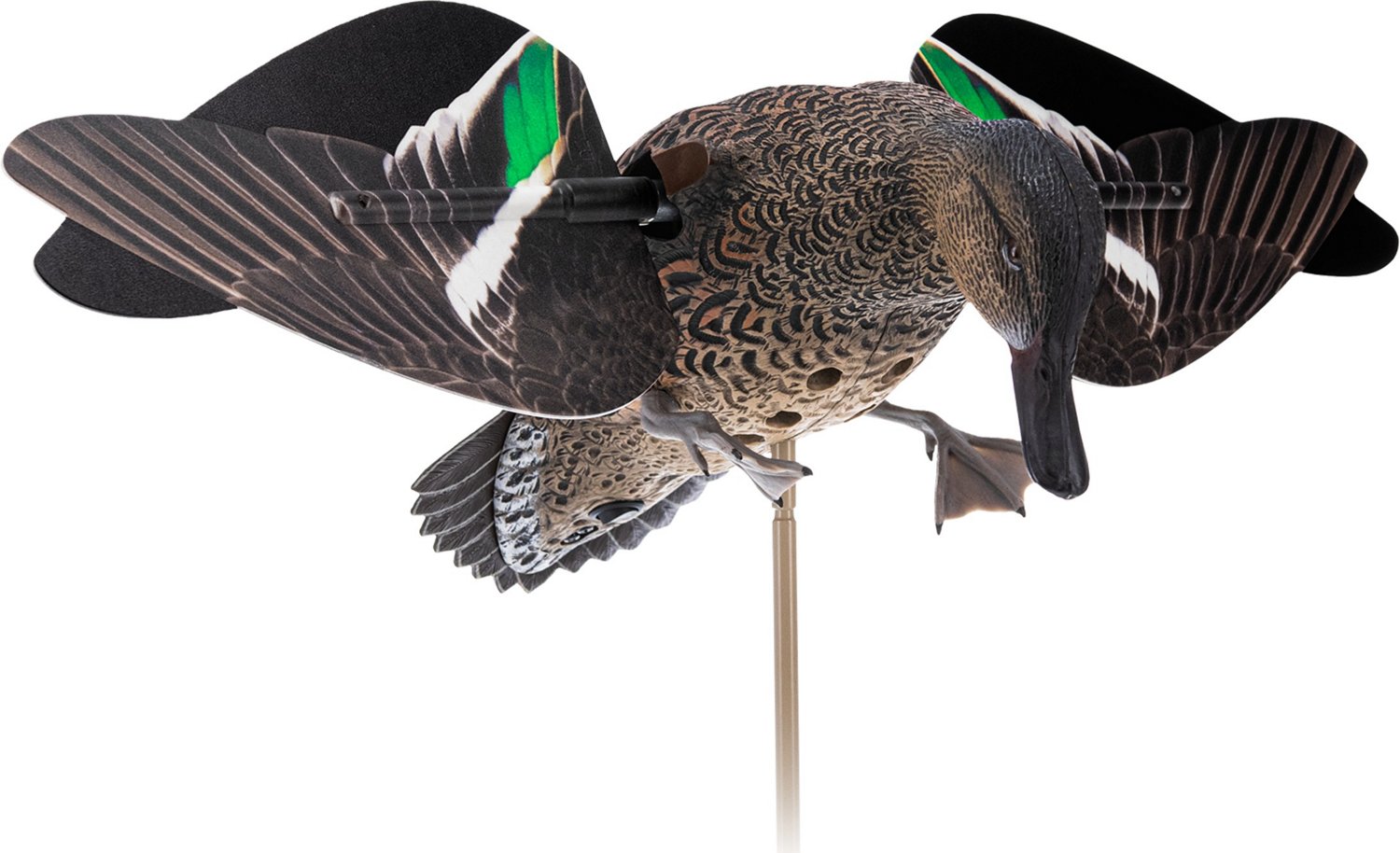 Avian-X Powerflight Hen Teal Decoy                                                                                               - view number 2