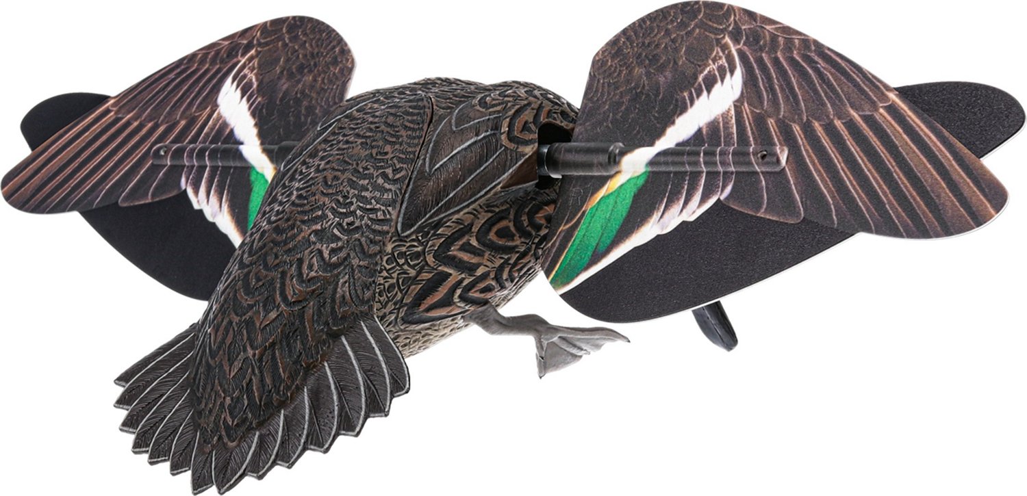 Avian-X Powerflight Hen Teal Decoy                                                                                               - view number 3