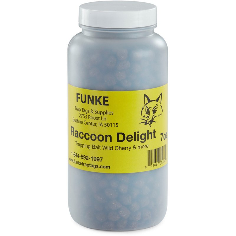 Duke Traps Raccoon … - image