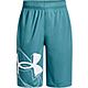 Under Armour Boys' Prototype 2.0 Supersize Shorts 8.25 in.                                                                       - view number 1 selected