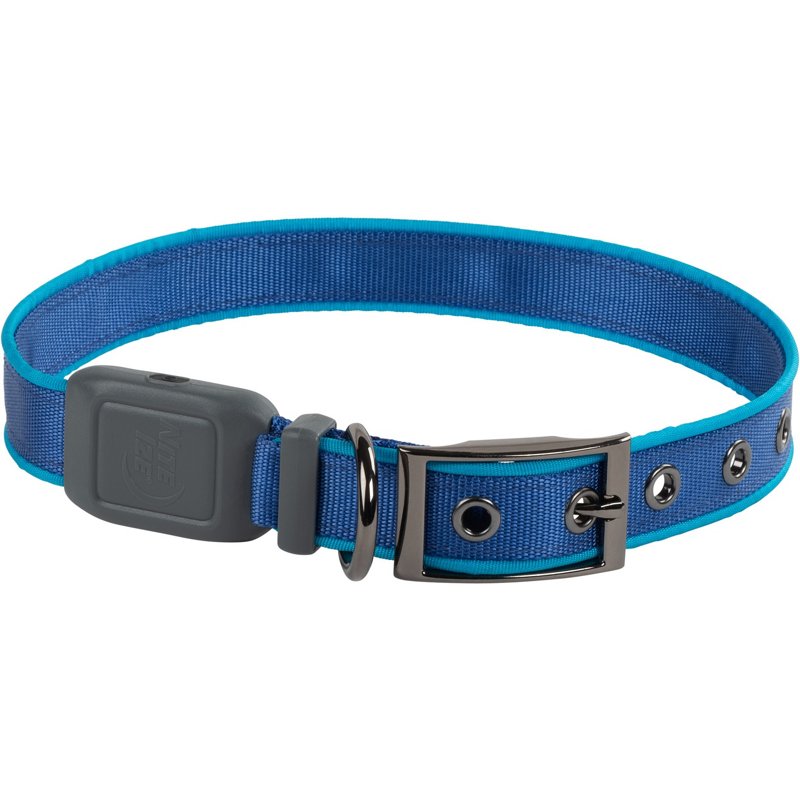 NiteDog Rechargeable LED Collar Blue, Large - Pet Accessories at Academy Sports