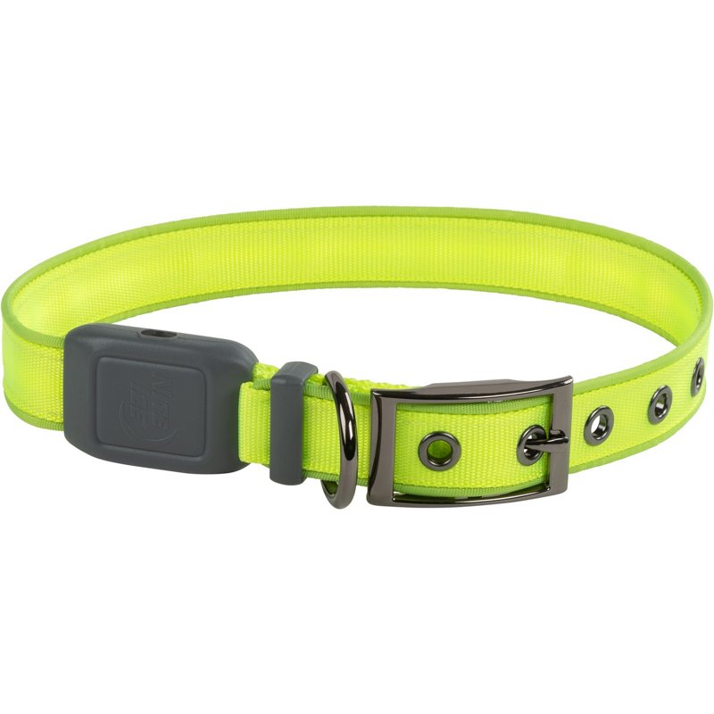 Nitedog Rechargeabl… - image