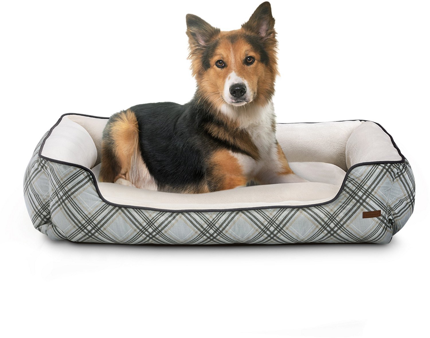 Dog beds 2025 at academy