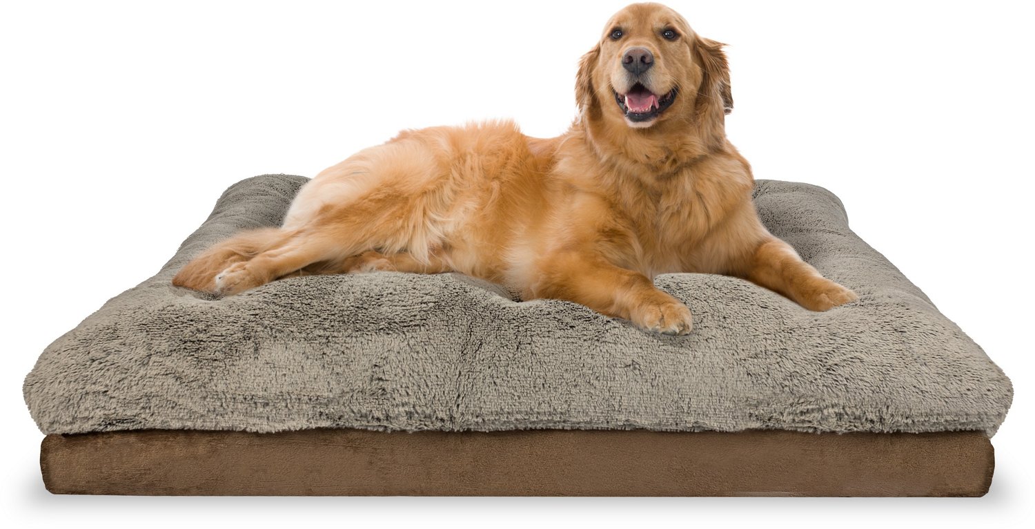 Academy sale dog beds