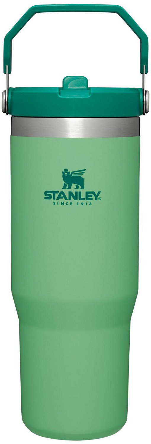 Stanley The IceFlow 30 oz Classic Flip Straw Tumbler