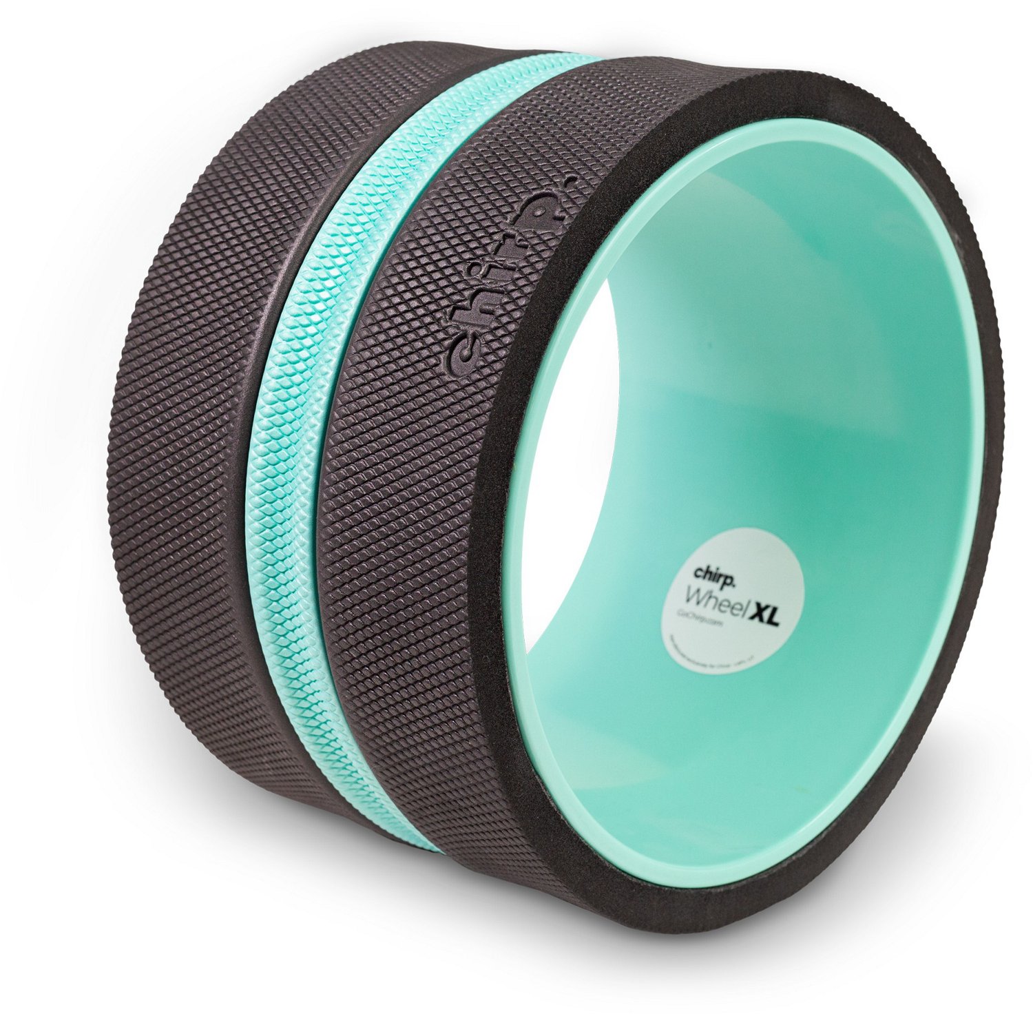 Chirp XL 10 in Wheel                                                                                                             - view number 5