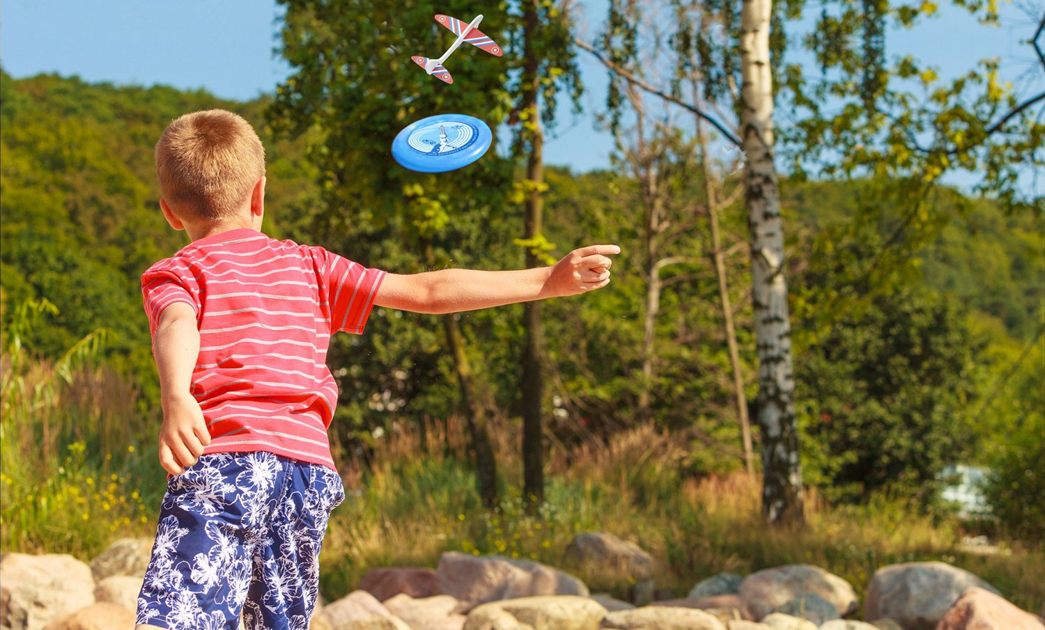 NSG Sky High Flyer Plane Disc                                                                                                    - view number 6