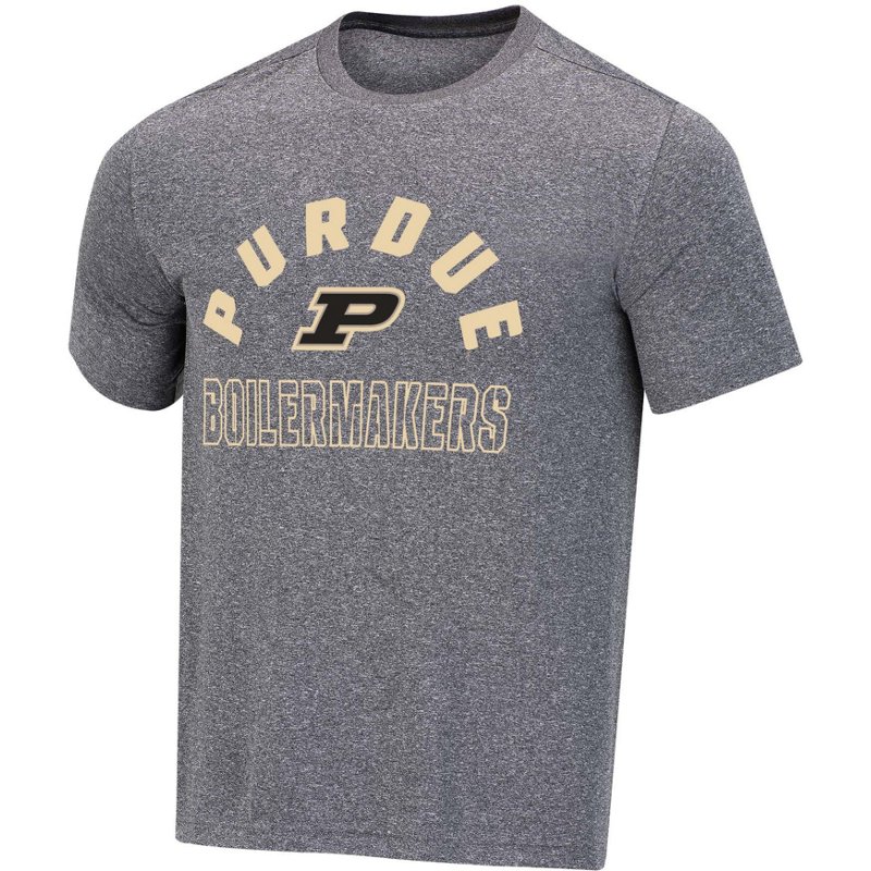 Champion Men's Purd… - image