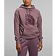 The North Face Women's Jumbo Half Dome Pullover Hoodie                                                                           - view number 1 selected