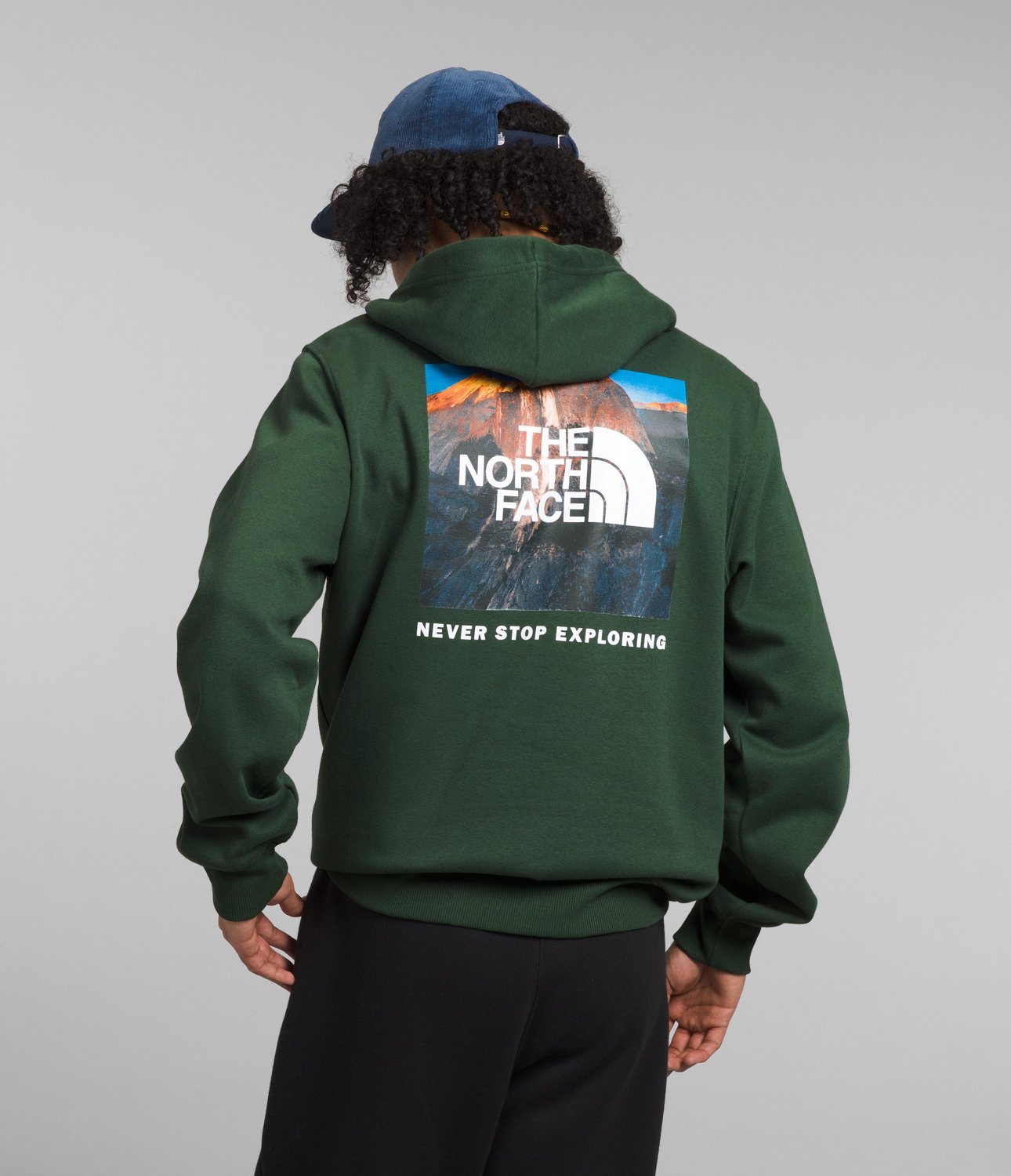 The North Face Men's Box NSE Pullover Hoodie | Academy