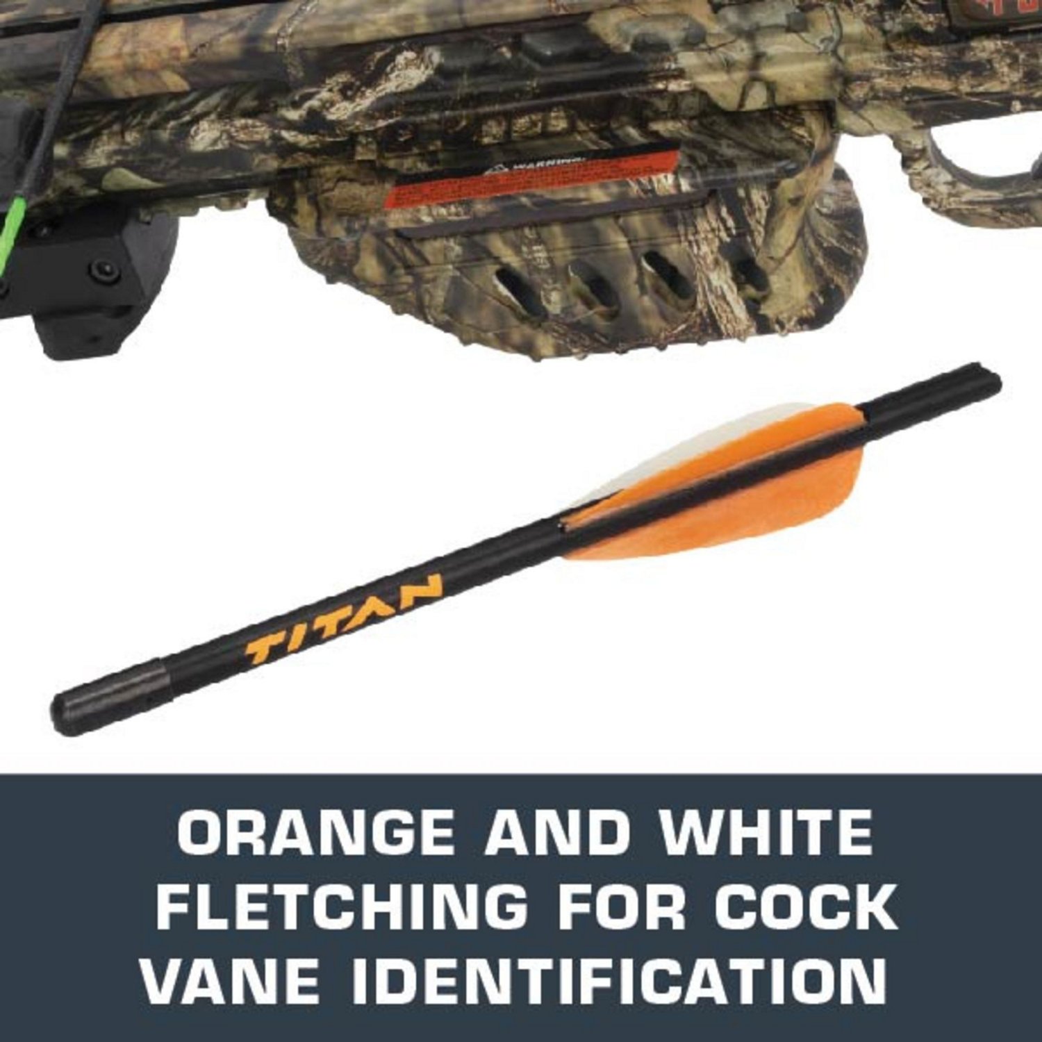 Allen Company Titan Fiberglass Crossbow Decocking Bolt Academy