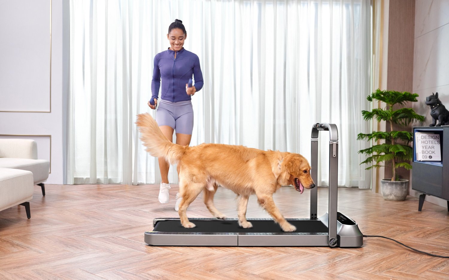 WalkingPad R2 Hybrid 2-in-1 Foldable Treadmill                                                                                   - view number 7
