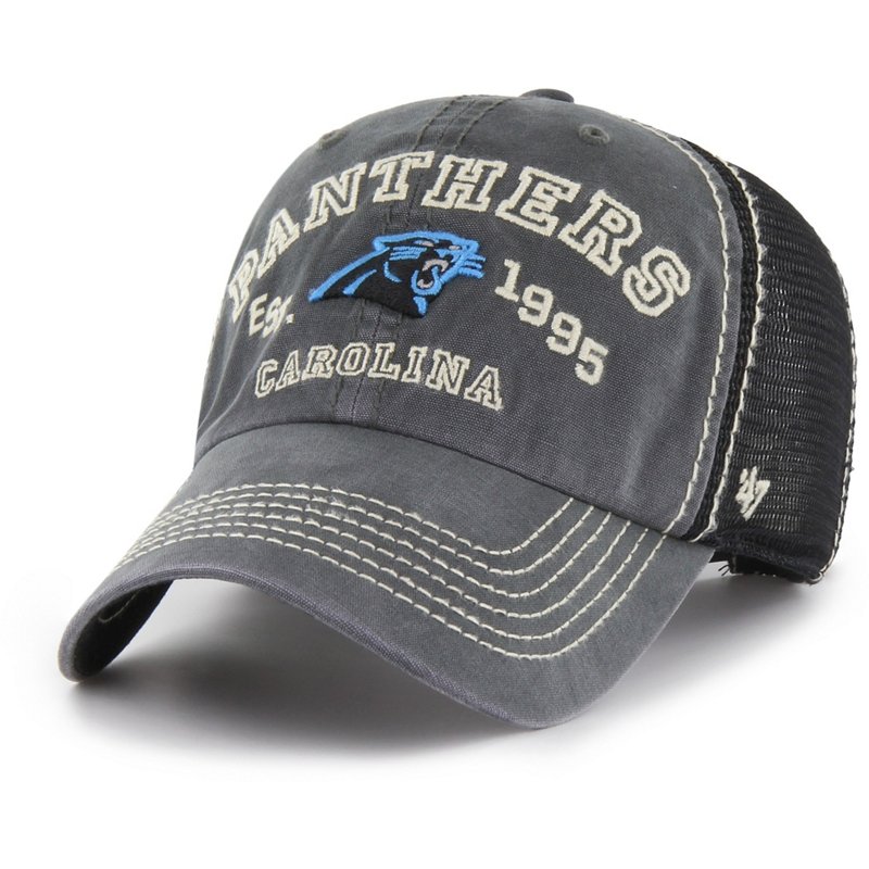 '47 Carolina Panthe… - image