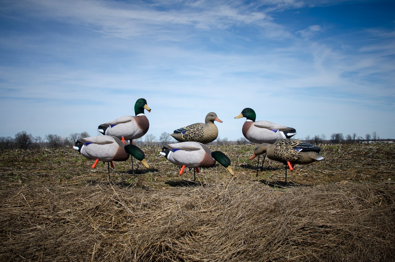 Higdon Outdoors Magnum Full Body Mallard Variety Pack Flocked Heads 6-Pack