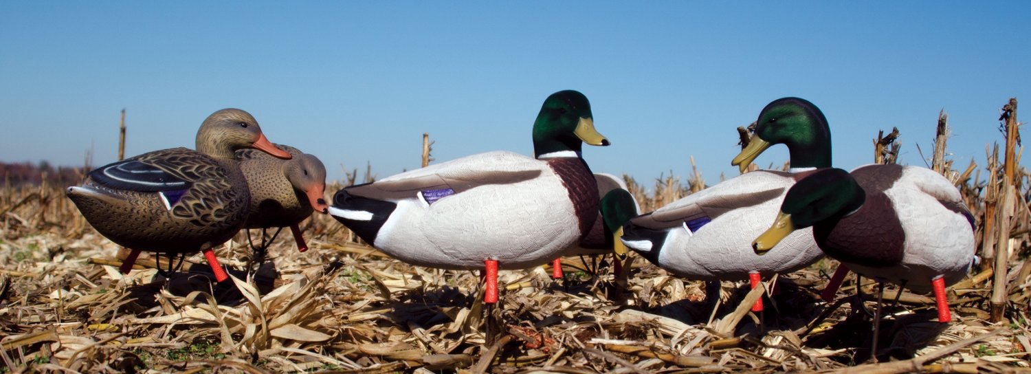 Higdon Outdoors Magnum Full Body Mallard Variety Pack Flocked Heads 6-Pack